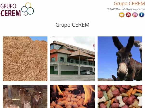 grupo-cerem.es